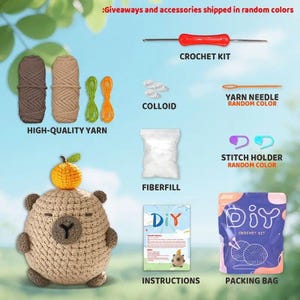 May include: A crochet kit with various supplies, including high-quality yarn, fiberfill, a crochet kit, yarn needle, stitch holders, and instructions. The kit includes a crochet bear with an orange on its head. The text on the packing bag says "DIY Crochet Kit".