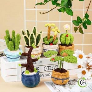 Kit per principianti di piante grasse all'uncinetto / Set fai da te di 6 piante in vaso con filato, strumenti e istruzioni / Regalo fatto a mano per adulti e artigiani