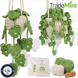 Potted plant crochet kit for beginners | bean basket & hollow green plant diy starter set
