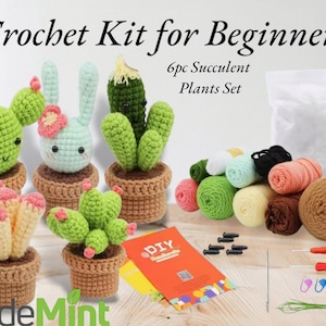 Kaktus & Amigurumi Häkelset | Anfänger Set für Erwachsene | Häkel-Startergeschenk