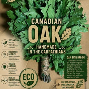 Puede incluir: Un conjunto de seis escobas de baño de roble canadiense con hojas verdes atadas con cuerda. El texto dice: SET OF 6 PCS, NEW SEASON 2026 HARVEST, CANADIAN OAK, HANDMADE IN THE CARPATHIANS, 100% NATURAL, RELAXATION & HEALTH, DURABLE & STRONG, ECO, OAK BATH BROOM, NATURAL POWER. PURE TRADITION. TRUE WELLNESS.