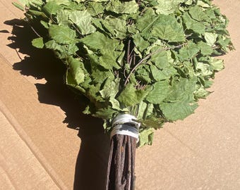 12 Birch  broom 2025 greats sauna banya venik whisks Ukrainian. free shipping