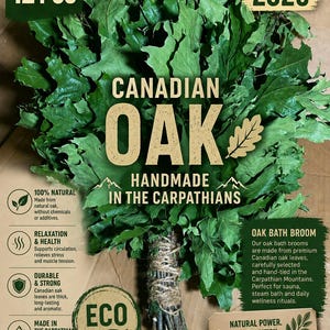 Puede incluir: Un conjunto de 12 escobas de baño de roble canadiense con hojas verdes atadas con cuerda. El texto incluye SET OF 12 PCS, NEW SEASON 2026, CANADIAN OAK, HANDMADE IN THE CARPATHIANS, ECO y OAK BATH BROOM. El diseño destaca características naturales y duraderas.