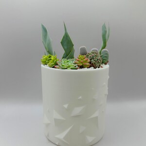 3D Printed Textured Diamond Planter