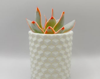3D Printed Honeycomb Succulent Planter
