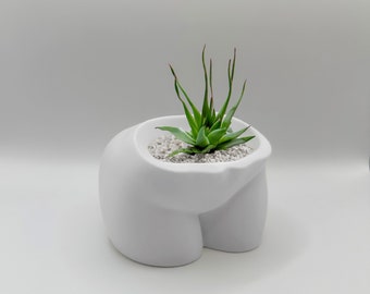3D Printed Booty Succulent Planter