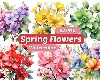 Spring Flowers Clipart | Watercolor Flower PNG | Botanical Floral Clip Art | Digital Flower Illustration | Watercolor Flower Clipart