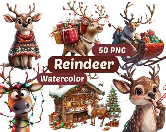 Clipart acquerello renna di Natale / PNG renna / Pacchetto PNG / Clipart renna / Clipart di Natale / Grafica renna di Natale