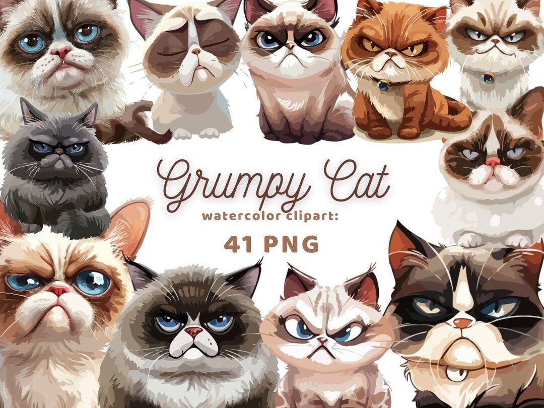 Grumpy Cat Watercolor Clipart | Sticker | PNG Bundle | Digital Download ...