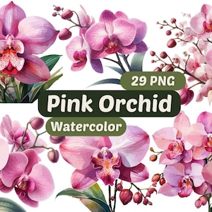 Pink Orchid Clipart | Watercolor Orchid Flower PNG | Botanical Floral Clip Art | Digital Orchid Illustration | Watercolor Flower Clipart |