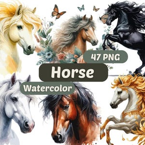 Pferd Aquarell Clipart | Pferd PNG | PNG-Bundle | Digitaler Download | Aquarell Kunst | Pferd Grafik | Tier PNG