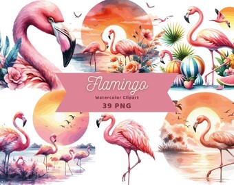 Flamingo Watercolor Clipart | Sticker | PNG Bundle | Digital Download | Watercolor Art | Flamingos Watercolor | Flamingo | Commercial Use