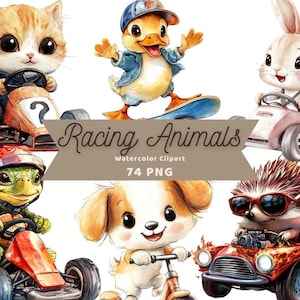 Clipart de aquarela de animais de corrida | Animais de corrida | Pacote PNG | Download digital | Arte em aquarela | Pequenos animais fofos | Uso comercial