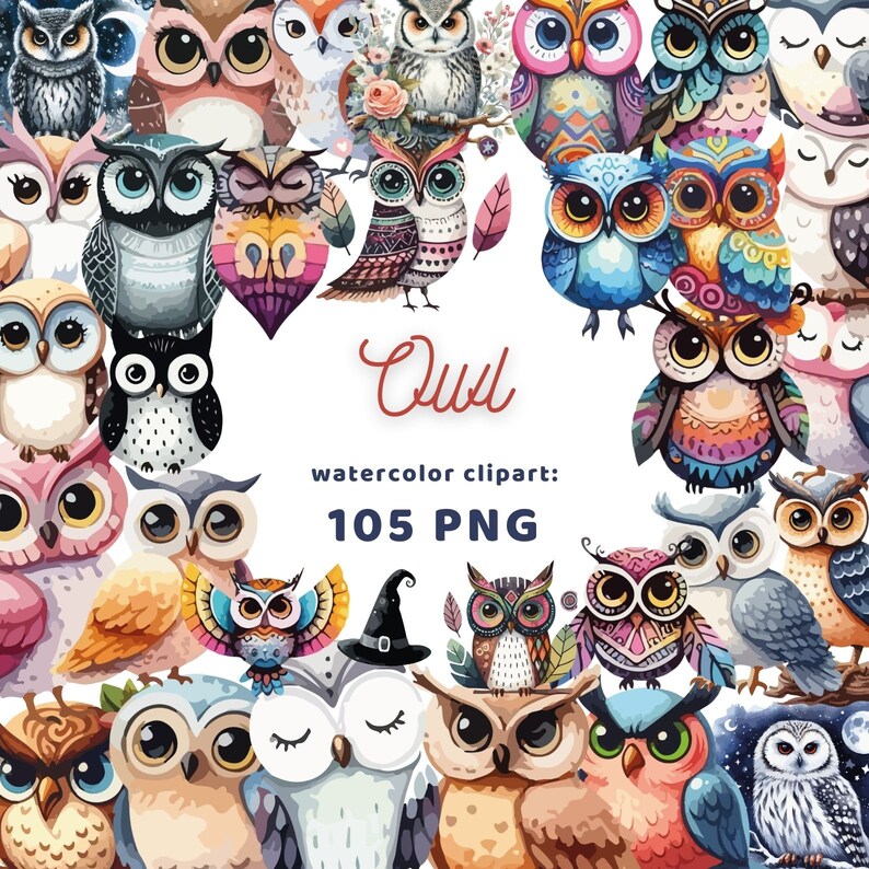 Owl Clipart Owl PNG Bundle Digital Download Watercolor Art Instant ...