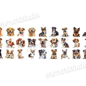 Cute Dogs PNG Watercolor Clipart | Animal PNG | PNG Bundle | Digital ...