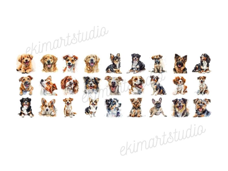 Cute Dogs PNG Watercolor Clipart | Animal PNG | PNG Bundle | Digital ...