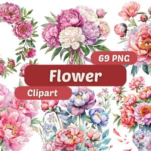 Clipart fleur | Fleur à l'aquarelle PNG | Clipart floral botanique | Illustration numérique de fleur | Graphiques floraux | Clipart cadre fleur