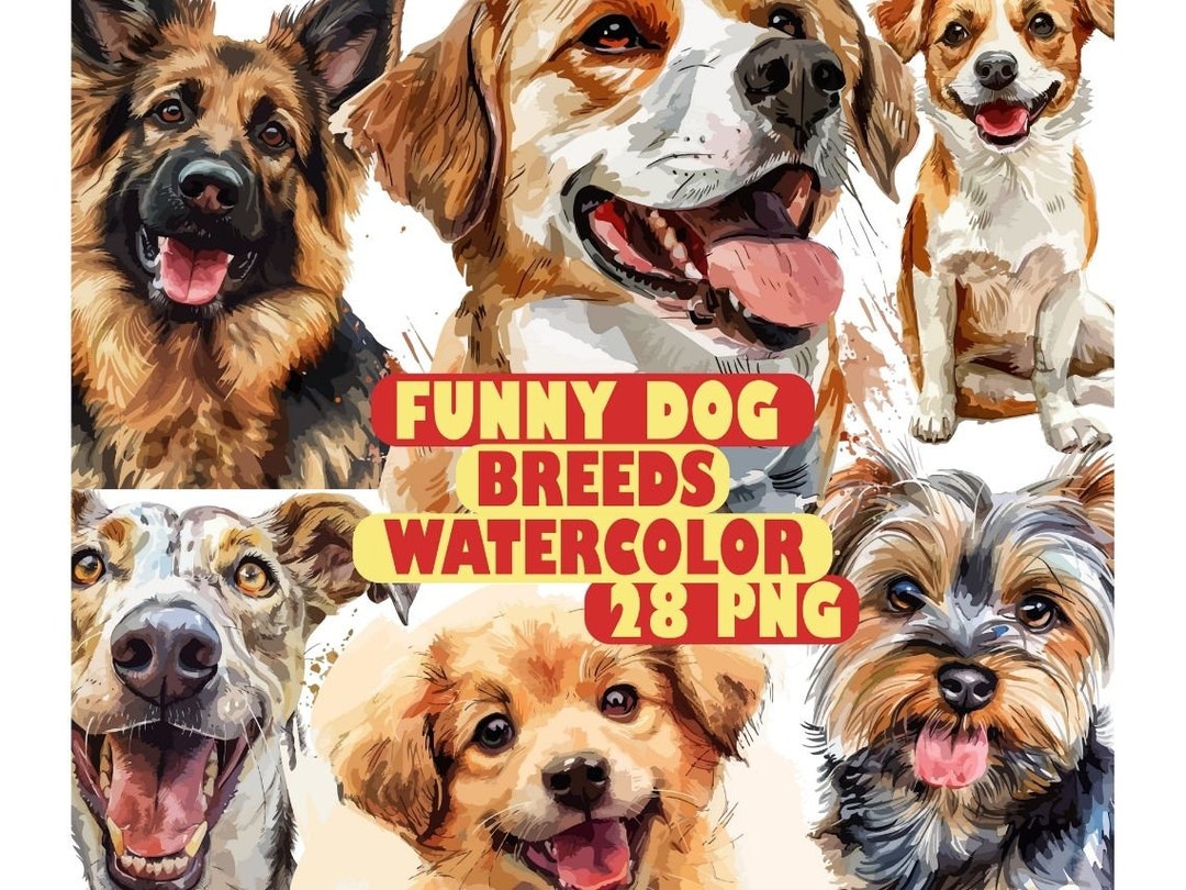 Cute Dogs PNG Watercolor Clipart | Animal PNG | PNG Bundle | Digital ...