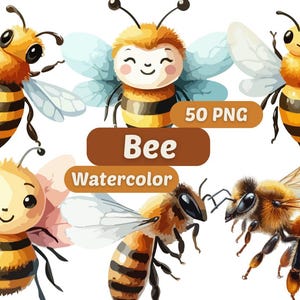 Clipart di api ad acquerello / Clipart di api / Pacchetto PNG / Illustrazioni di animali carini / Arte ad acquerello / Grafica di animali / PNG di animali