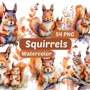 Squirrels Watercolor Clipart | Squirrels Clipart | PNG Bundle | Cute Animal Illustrations | Watercolor Art | Animal Graphics | Animal PNG