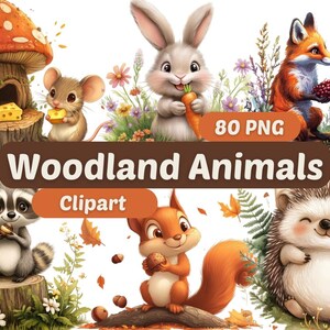 Woodland Animals Clipart | Woodland Animals | PNG Bundle | Digital Download | Animals Clipart | Cute Woodland PNG | Woodland Animal Graphics