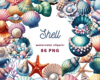 Shell Watercolor Clipart | Sticker | PNG Bundle | Digital Download | Watercolor Art | Instant Digital Download | Commercial Use