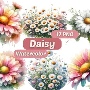 デイジーの水彩画のクリップアート | 花のデジタルアート | PNG バンドル | デイジーの花のグラフィック | 花のイラスト | 水彩画の花のクリップアート