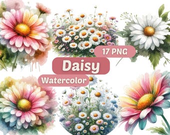 Clipart de acuarela de margaritas / Arte digital de flores / Paquete PNG / Gráficos de flores de margaritas / Ilustración de flores / Clipart floral de acuarela