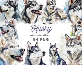 Può includere: Illustrazioni ad acquerello di Husky siberiani in varie pose. Le illustrazioni sono in tonalità di grigio, bianco e blu. Il testo "Husky watercolor clipart: 94 PNG" è in basso nell'immagine.