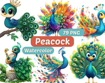 Pauw aquarel clipart | Pauw, png | PNG-bundel | Digitale download | Aquarelkunst | Dierenafbeeldingen | Dierlijk png-bestand: