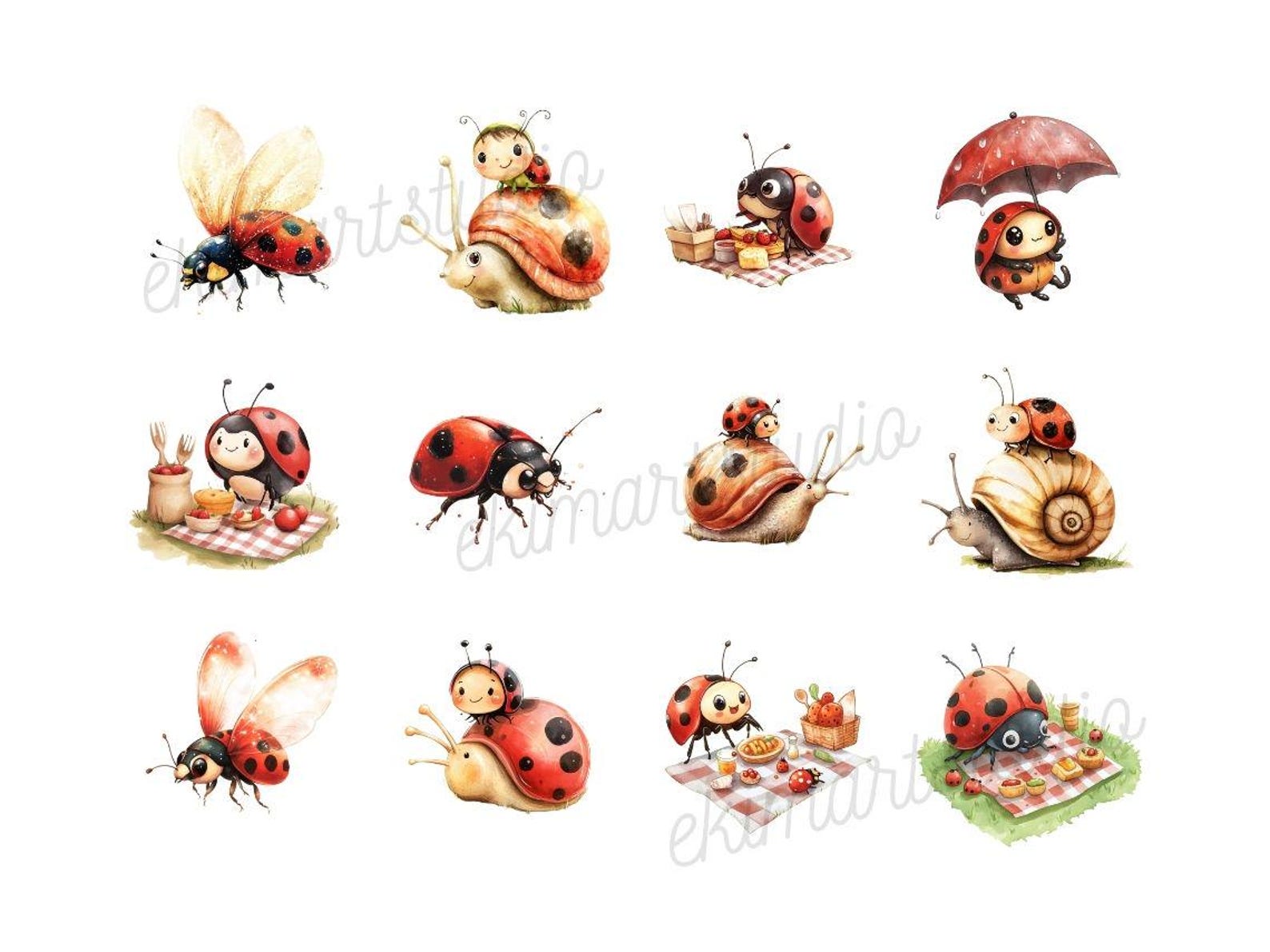 Ladybug Watercolor Clipart | Sticker | PNG Bundle | Animal Clipart ...