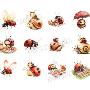 Ladybug Watercolor Clipart | Sticker | PNG Bundle | Animal Clipart ...