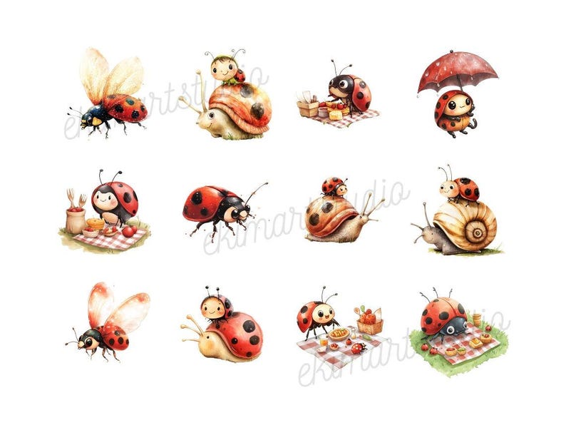 Ladybug Watercolor Clipart | Sticker | PNG Bundle | Animal Clipart ...