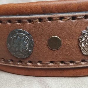 May include: Close-up of a brown leather dog collar with decorative metal studs. The collar features a silver buckle and a series of rivets and decorative metal accents. The collar is stitched with a contrasting thread.