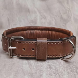 May include: A brown leather dog collar with a padded interior. The collar has a silver buckle and a D-ring for leash attachment. The leather is stitched and has a rich, textured appearance.