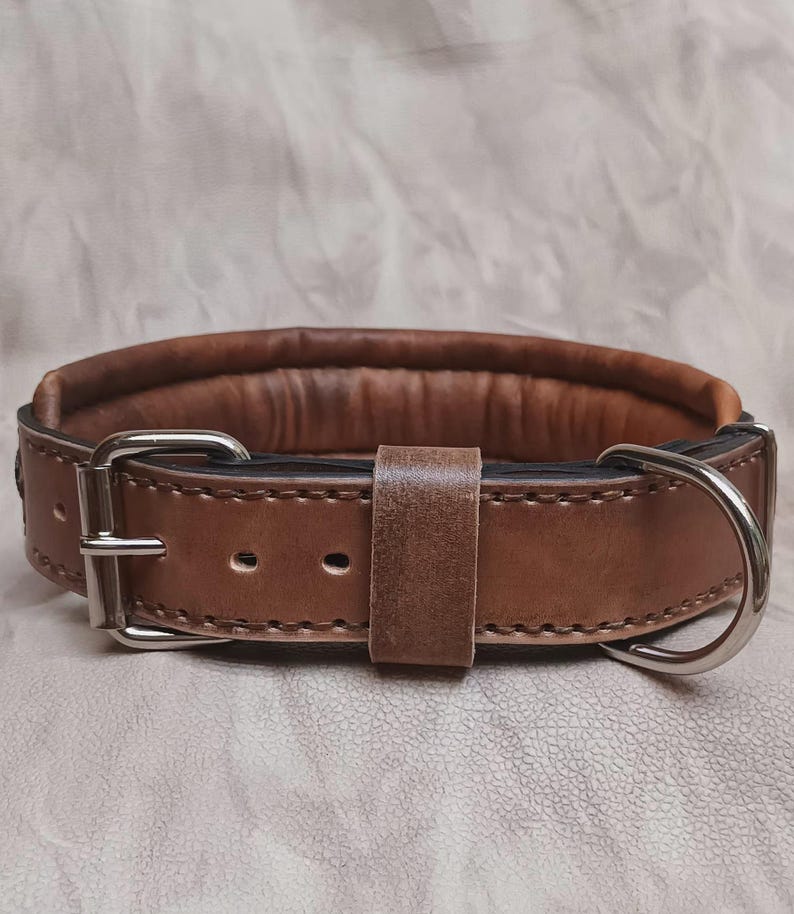 May include: A brown leather dog collar with a padded interior. The collar has a silver buckle and a D-ring for leash attachment. The leather is stitched and has a rich, textured appearance.