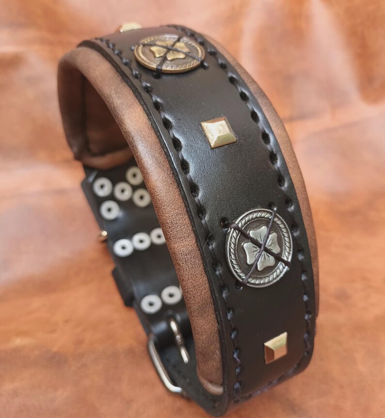 K&ouml;nnte beinhalten: Ein schwarzes Lederhundekragen mit braunem Lederbesatz. Das Halsband hat silberne und goldene Metallakzente, darunter ein Kleeblatt-Design und ein quadratischer Niet.