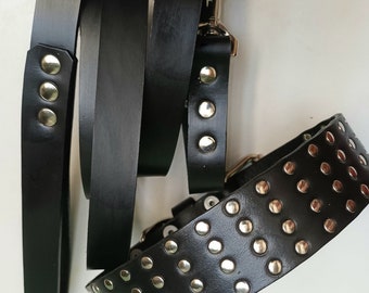Ensemble collier et laisse en cuir noir pour chiens de taille moyenne ou grande avec mini rivets ronds et matériel renforcé et soudé