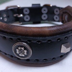 May include: Black leather dog collar with brown leather trim, silver studs, and a silver clover-shaped buckle.