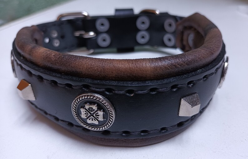 May include: Black leather dog collar with brown leather trim, silver studs, and a silver clover-shaped buckle.