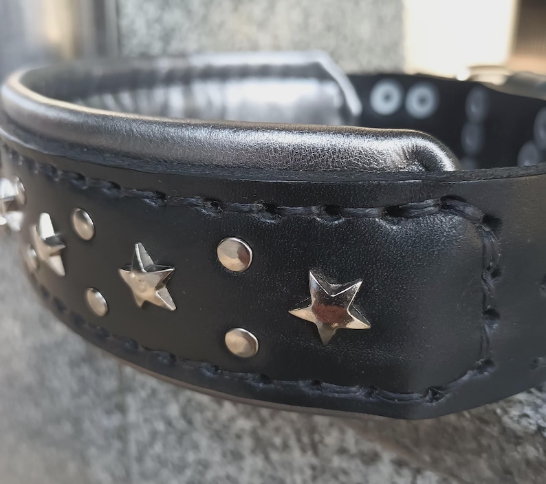 Puede incluir: Collar de perro de cuero negro con detalles de estrellas plateadas y tachuelas plateadas.