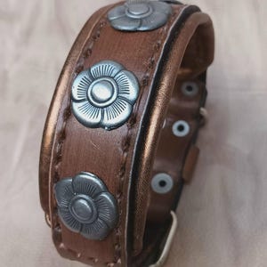 May include: A brown leather dog collar with silver flower-shaped accents. The collar has a buckle closure and is decorated with stitching.
