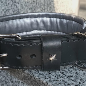 Puede incluir: Collar de perro de cuero negro con detalles de estrellas plateadas y una hebilla plateada. El collar tiene un forro acolchado.