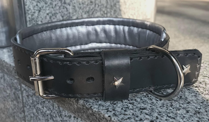 Puede incluir: Collar de perro de cuero negro con detalles de estrellas plateadas y una hebilla plateada. El collar tiene un forro acolchado.