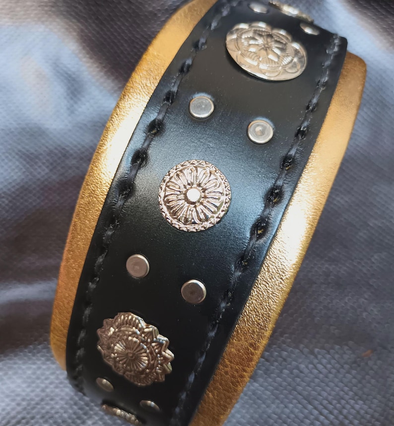 May include: A black leather collar with gold accents and silver metal studs and decorative circles.
