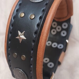 May include: Black leather dog collar with brown leather trim, silver star and round metal accents, and a silver buckle.