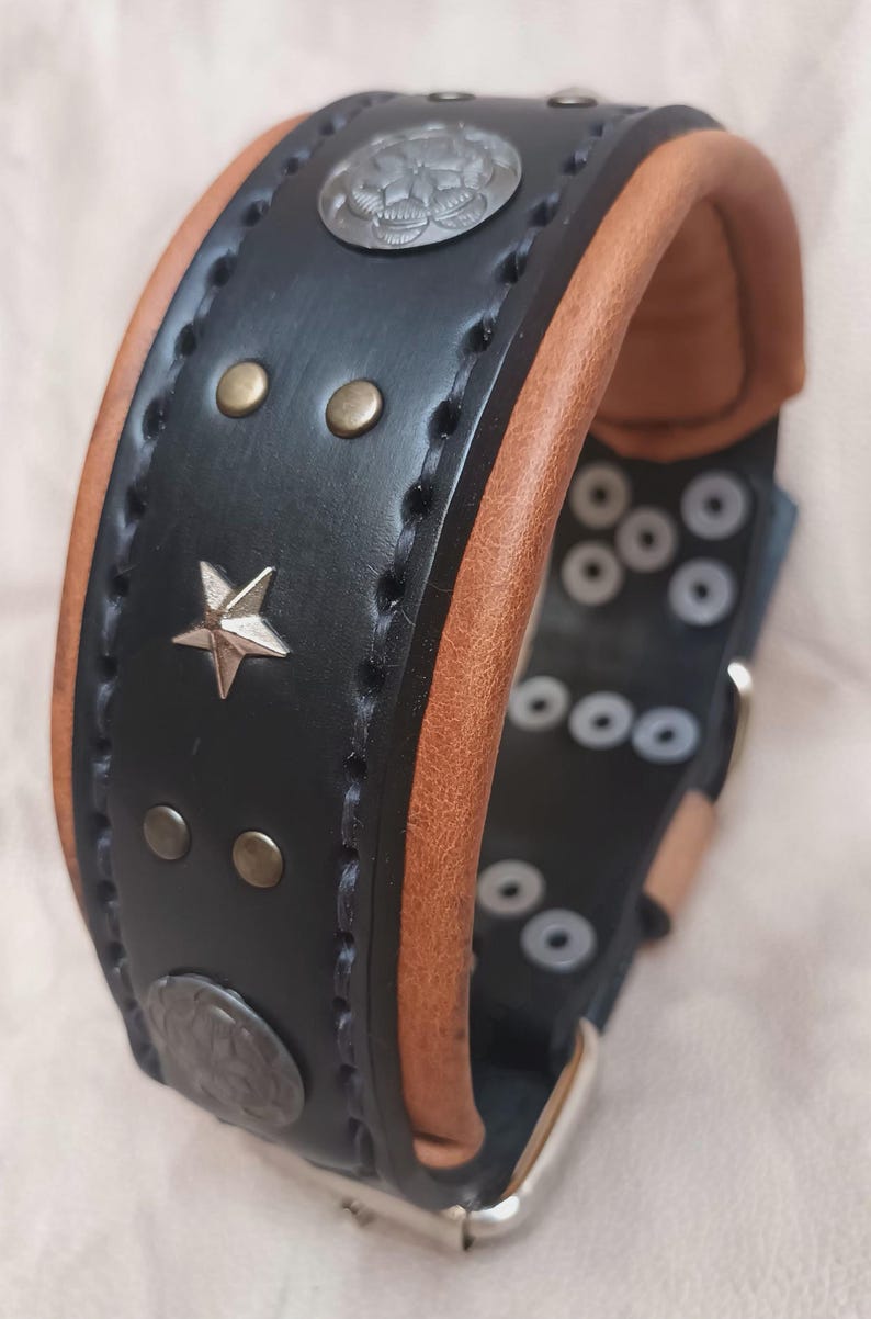 May include: Black leather dog collar with brown leather trim, silver star and round metal accents, and a silver buckle.