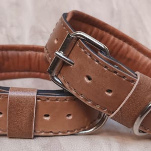Puede incluir: Dos collares de perro de cuero marr&oacute;n con hebillas y anillas en D de metal plateado. Los collares tienen un interior acolchado para mayor comodidad. El cuero tiene un aspecto ligeramente envejecido.