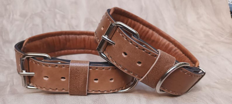 Puede incluir: Dos collares de perro de cuero marr&oacute;n con hebillas y anillas en D de metal plateado. Los collares tienen un interior acolchado para mayor comodidad. El cuero tiene un aspecto ligeramente envejecido.