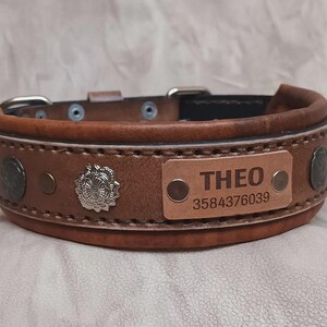 May include: A brown leather dog collar with a name tag that reads "THEO" and a phone number. The collar has silver-colored studs and a decorative silver emblem. The collar is approximately 3.8 cm wide.